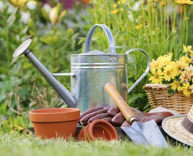 Home & Garden