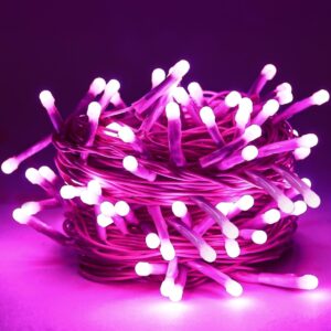 BDAE 40 LED Power Pixel Serial String/Fairy Light | Plug Sourced | Suitable for Home & Outdoor Decoration, Diwali, Christmas, Wedding, Party, Festival (Pack of 1, Purple)